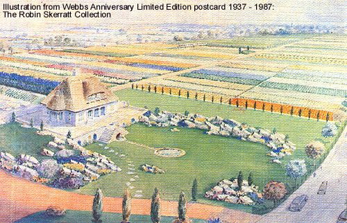 Webbs Anniversary postcard - the Robin Skerratt collection